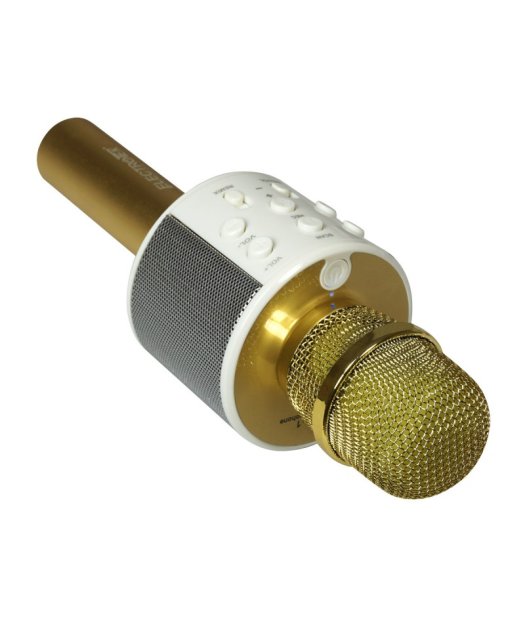 microfono karaoke wireless et-ws10 oro