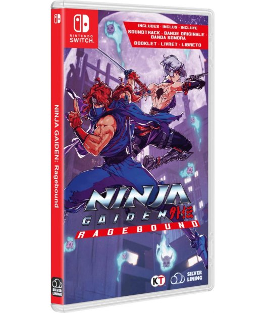 switch ninja gaiden: ragebound